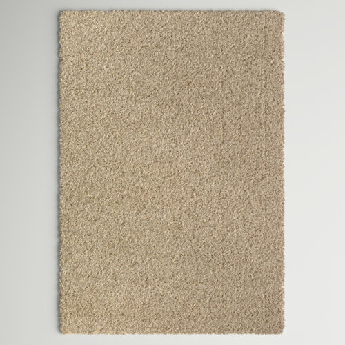 Wayfair Basics® Shag Beige Area Rug & Reviews Wayfair